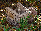 Succulents and wooden box